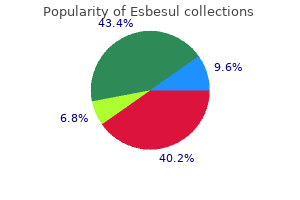 purchase esbesul 480mg without prescription