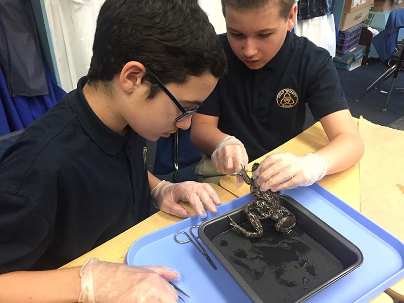 Curriculum Science